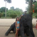   *****Royal,  -  2  2011