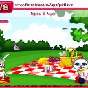 ���� 111, ������, 40 ��� - ��������� 22 �������� 2010 � ������ �PetLove�