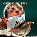 ���� ��������, ��������������, 57 ��� - ��������� 7 ������� 2009 � ������ �������