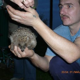 ���� ���������, ��������, 54 ���� - ��������� 22 ���� 2013