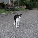 ��������� �� ������� ������� 2012�