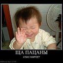 ���� �����, ��������, 41 ��� - ��������� 5 ��� 2012 � ������ �������