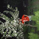���� Aleksandr, ���������, 46 ��� - ��������� 2 ������ 2010 � ������ �������