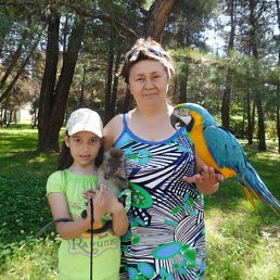 ���� ���, ������, 66 ��� - ��������� 19 �������� 2012