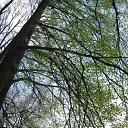 ���� �������, ����, 42 ���� - ��������� 9 ��� 2011 � ������ �������