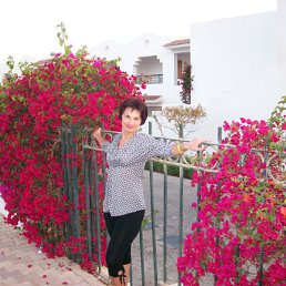 ���� ������, �����������, 56 ��� - ��������� 7 �������� 2011