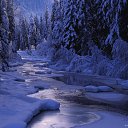  , , 54  -  21  2010   λ