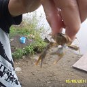 ���� �������, ������ �����, 53 ���� - ��������� 8 �������� 2011 � ������ ���� ����������