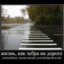 ���� �������, �����-���������, 47 ��� - ��������� 1 ���� 2013 � ������ �����ܻ