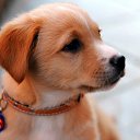 ���� ����, ������, 23 ���� - ��������� 5 ������� 2012