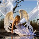 ���� �������, �����-���������, 61 ��� - ��������� 22 ������� 2010 � ������ ���� �����