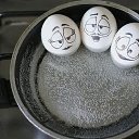 ���� �������, ������, 41 ��� - ��������� 11 ������� 2009 � ������ ����������û