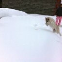 ���� ���������, �����-���������, 42 ���� - ��������� 13 ������� 2012 � ������ ���������