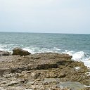  Serzh Van Der Maaremaan,  -  2  2009   