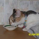 ���� ����, ������ - ��������� 23 ������ 2011 � ������ ���� ����������