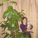 ���� �����, ����-��� - ��������� 26 ���� 2012 � ������ ���� ����������