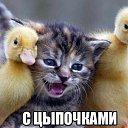 ���� ���������, ��������������, 57 ��� - ��������� 24 ���� 2013 � ������ ���� ����������