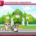 ���� Fox26ru, ����������, 62 ���� - ��������� 2 ������� 2010 � ������ �PetLove�