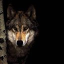 ���� ����, ������, 38 ��� - ��������� 12 �������� 2011