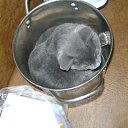 ���� �����, �������, 56 ��� - ��������� 29 ������� 2012 � ������ ������� �������