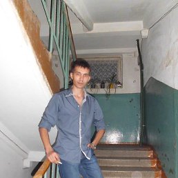 ���������, �������, 40 ���