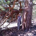 ���� ���������, ����-�����������, 43 ���� - ��������� 16 ���� 2013 � ������ ���� ����������