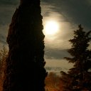  , , 66  -  27  2011   ,