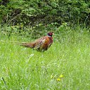 ���� �����, ��������� - ��������� 13 ���� 2013 � ������ �2013�