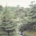������� �� ������� �������..���������,�������,��������.....�