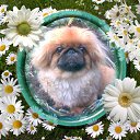 ���� ������, ����, 34 ���� - ��������� 3 ������� 2011 � ������ ���� ����������