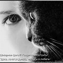 ���� Eugene, ���������, 42 ���� - ��������� 17 ������� 2011 � ������ �����