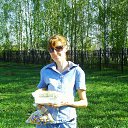 ���� ����, �����, 40 ��� - ��������� 1 ����� 2012 � ������ ���� ����������