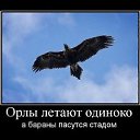  Oleg, , 46  -  13  2011   