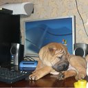 ���� ����, �������, 44 ���� - ��������� 21 ������ 2011 � ������ ���� ��������