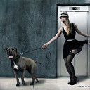 ���� ����, ��������� - ��������� 20 ������� 2012 � ������ �__Digital__Art__�������__�