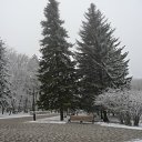  , , 74  -  24  2012
