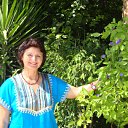  , -, 71  -  27  2012    