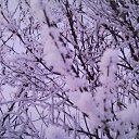 ���� Michael, ������, 57 ��� - ��������� 12 ���� 2010 � ������ ����� � �����������