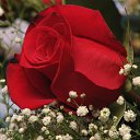 ���� ���, �������, 33 ���� - ��������� 1 ������ 2010 � ������ �~�����~�