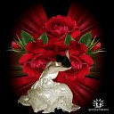  ****,  -  7  2010   *******ROSES*******