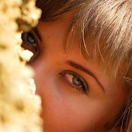 ����, �������, 34 ����