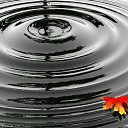 ���� ������� (������ 8-�� ������), �������, 28 ��� - ��������� 2 ����� 2012 � ������ ��������, �������� � ��.�