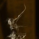  ,  -  13  2010   ____