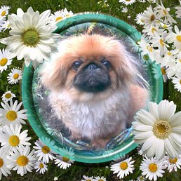 ���� ������, ����, 34 ���� - ��������� 3 ������� 2011