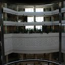  ok, --, 44  -  20  2012    2011 ()