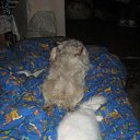 ���� ����, �����-���������, 48 ��� - ��������� 26 ����� 2010 � ������ �������