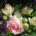 ���� ��������, ������, 72 ���� - ��������� 16 ������ 2012 � ������ �������