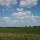 ���� ���� ��, �������, 49 ��� - ��������� 29 ���� 2011 � ������ ���� ���.�