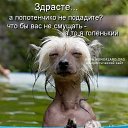 ���� Gnom, ���������, 39 ��� - ��������� 28 ������ 2010 � ������ �������� � ��������� ;-)�