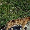 ���� ������, �����-���������, 60 ��� - ��������� 27 ������� 2009 � ������ �������� 2009�